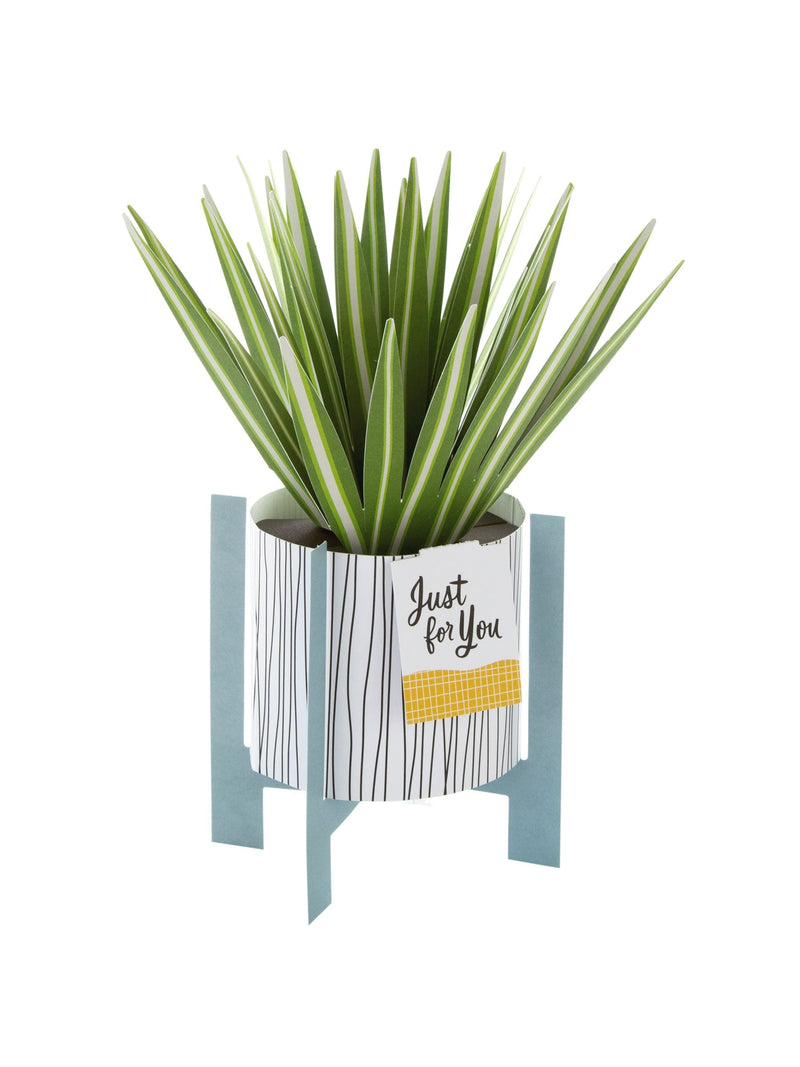 Hallmark Green Little Hello Card 3D Pop Up Spider Plant