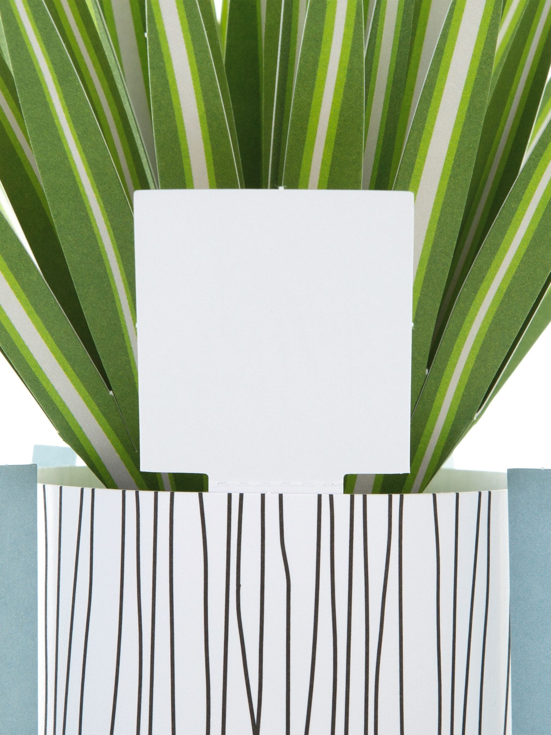 Hallmark Green Little Hello Card 3D Pop Up Spider Plant