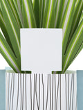 Hallmark Green Little Hello Card 3D Pop Up Spider Plant