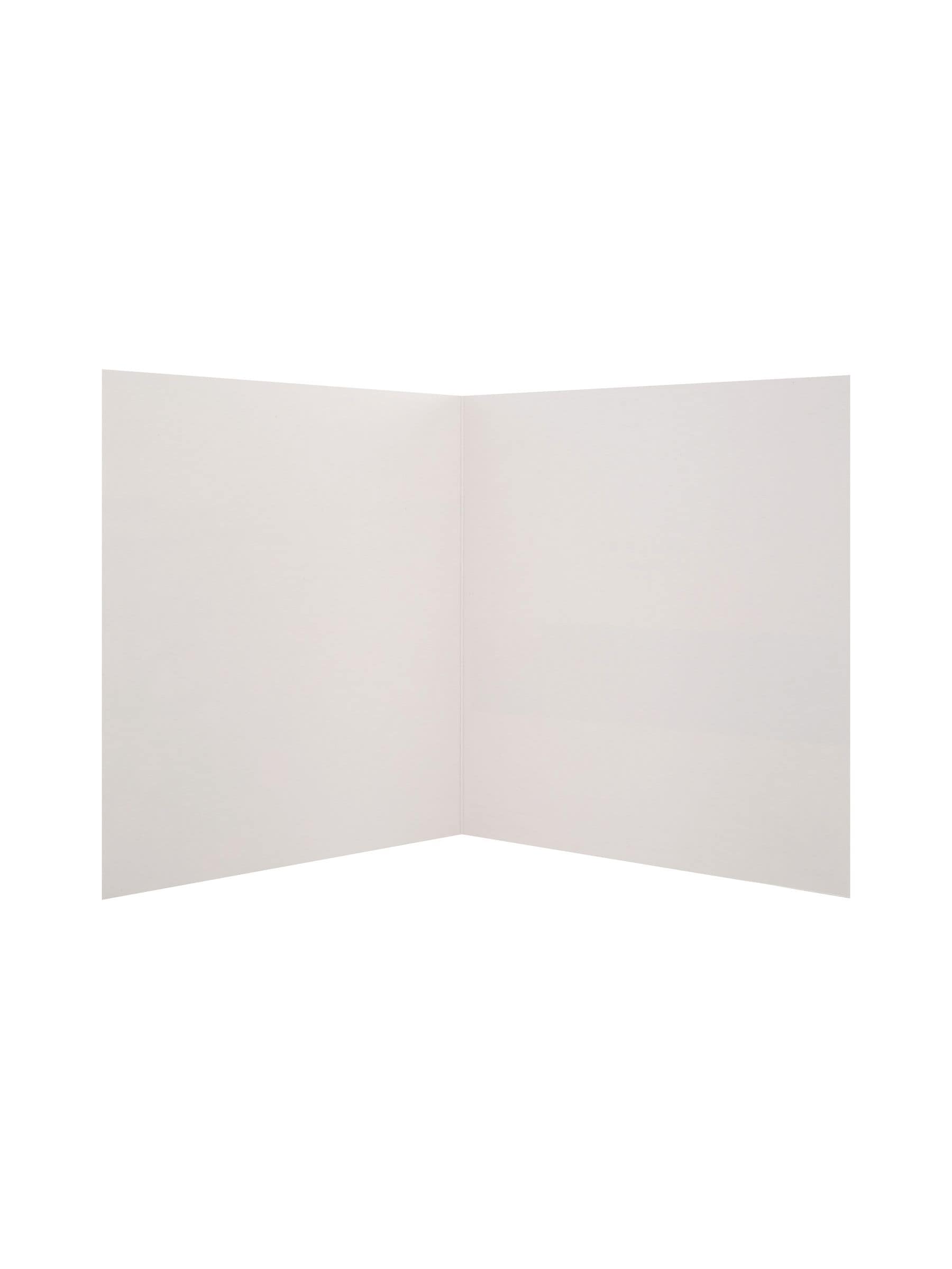 Hallmark Blue Scenic Photographic Blank Cards 20 Pack, UK version