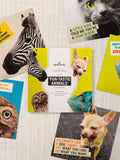 Hallmark Birthday Cards with 5 Funny Animal Designs 10 Pack, UK version