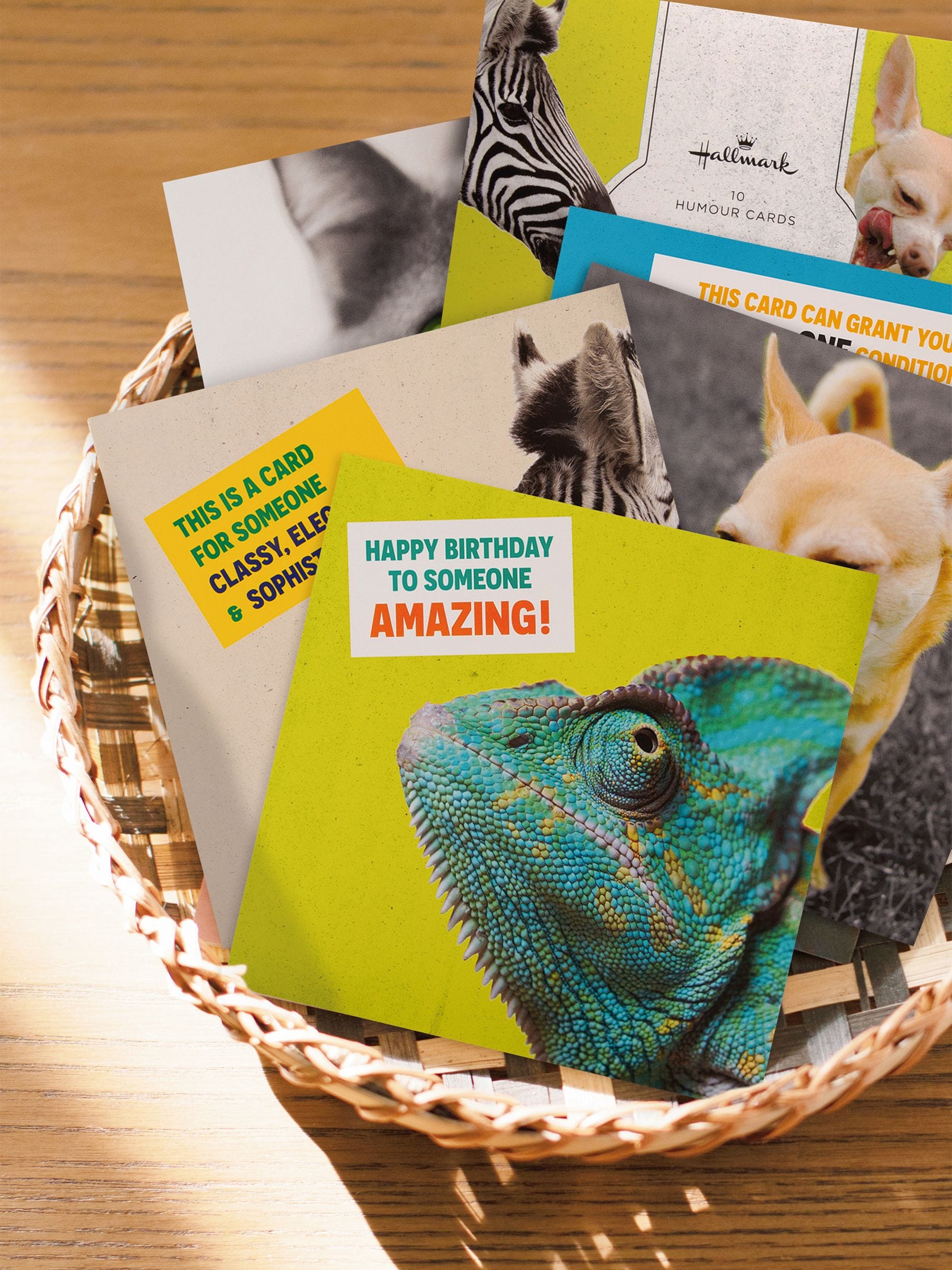 Hallmark Birthday Cards with 5 Funny Animal Designs 10 Pack, UK version