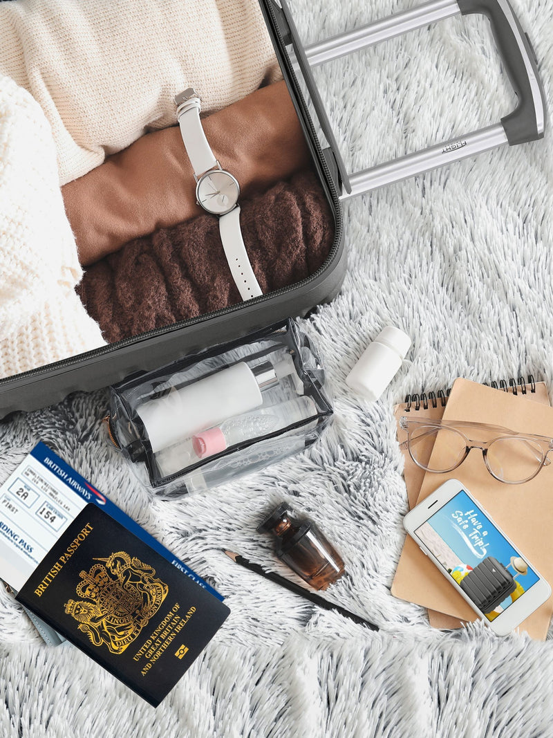 Flight Knight grey suitcase set underseat overhead large, UK version