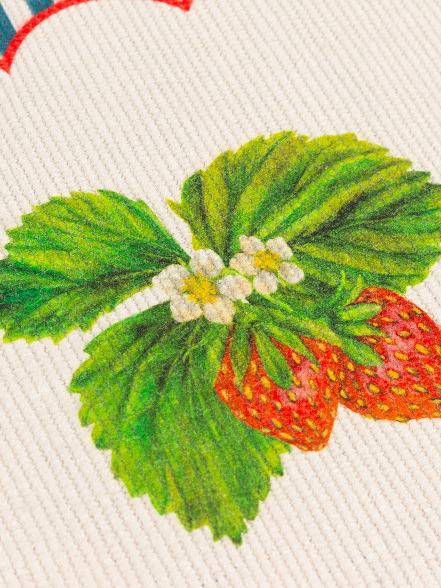 Wylder Blue Strawberry Stripes placemats 46x36cm set of 4 (British brand)