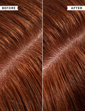 Philip Kingsley No Scent No Colour Conditioner 200ml, imported from the UK