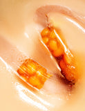 Nordic-C VALO radiance elixir serum 30 ml, imported from the UK