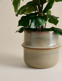 Artificial monstera plant in ceramic pot 46cm - British product