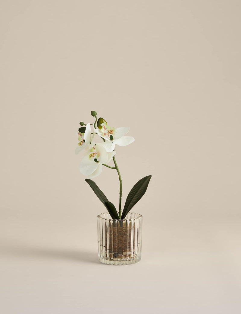 Artificial small orchid in glass pot 24cm, imported from the UK
