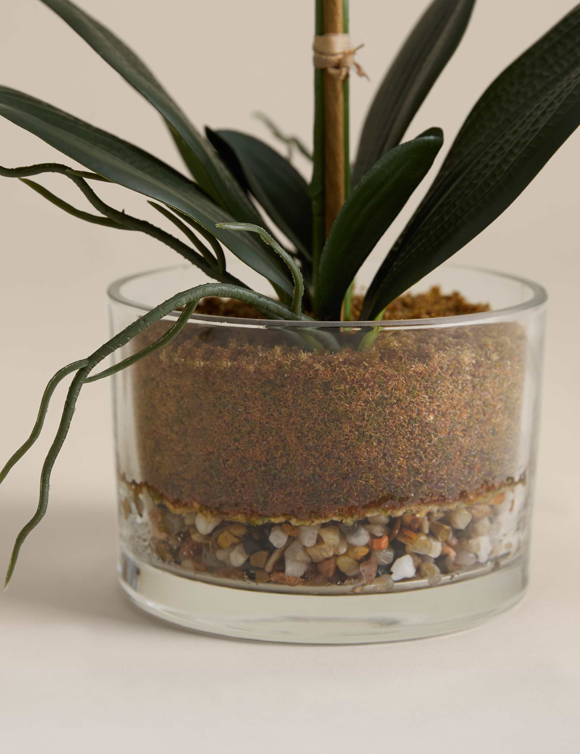 Artificial medium orchid in glass pot, UK version