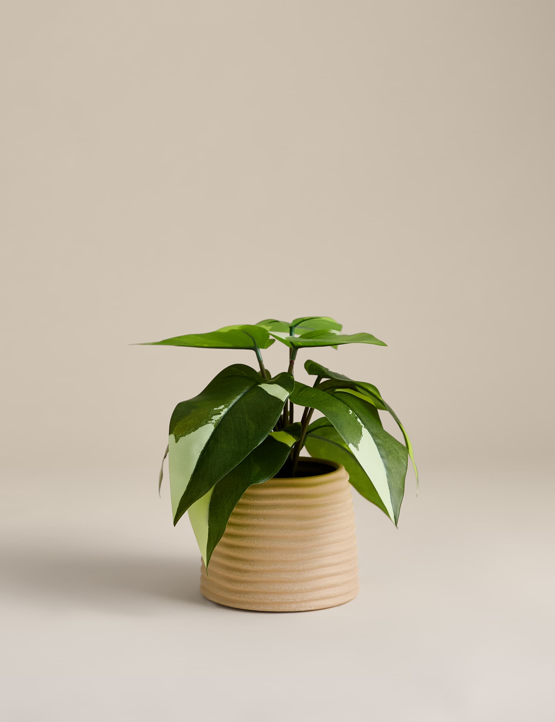 Artificial heartleaf philodendron in ceramic pot, imported from the UK
