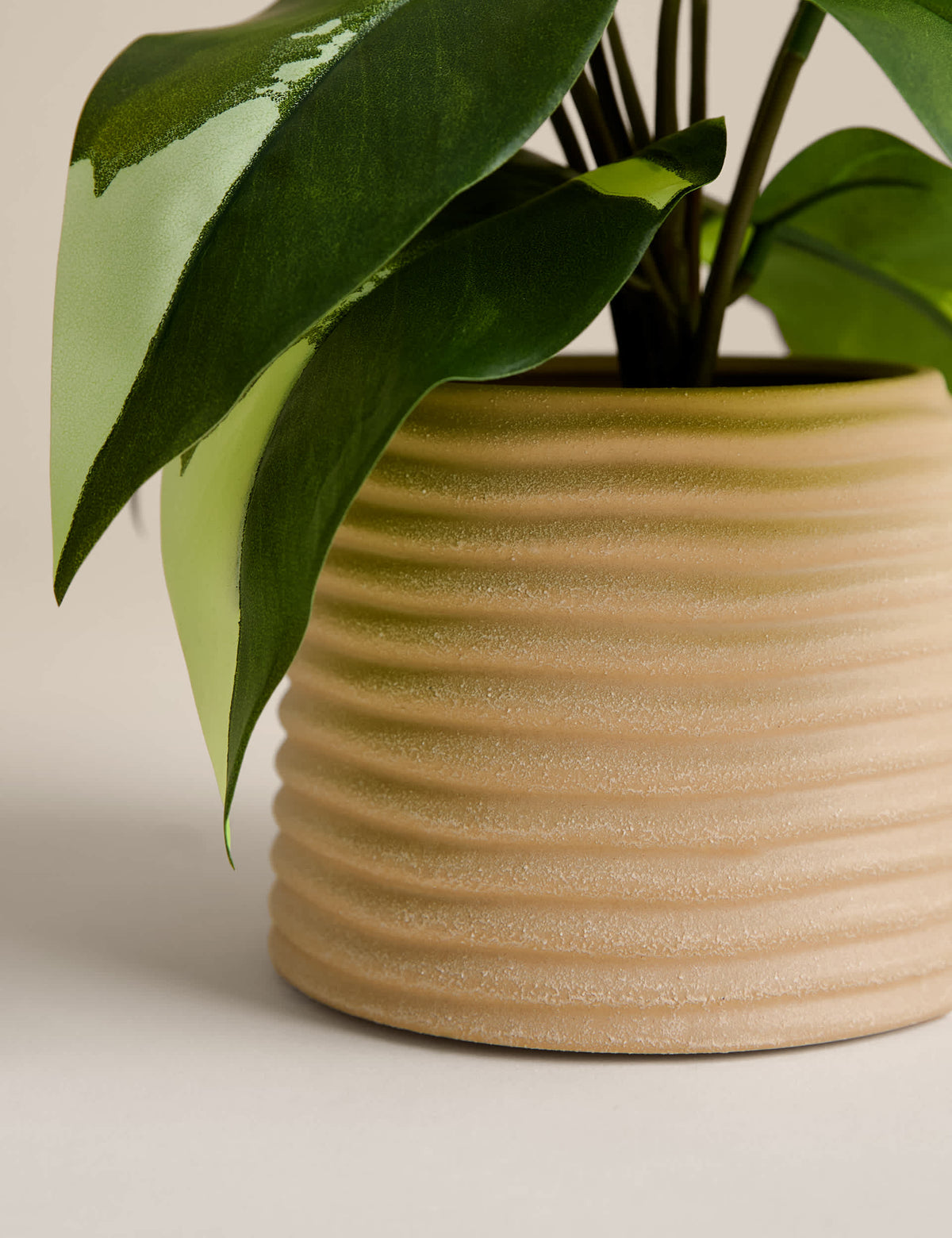 Artificial heartleaf philodendron in ceramic pot, imported from the UK