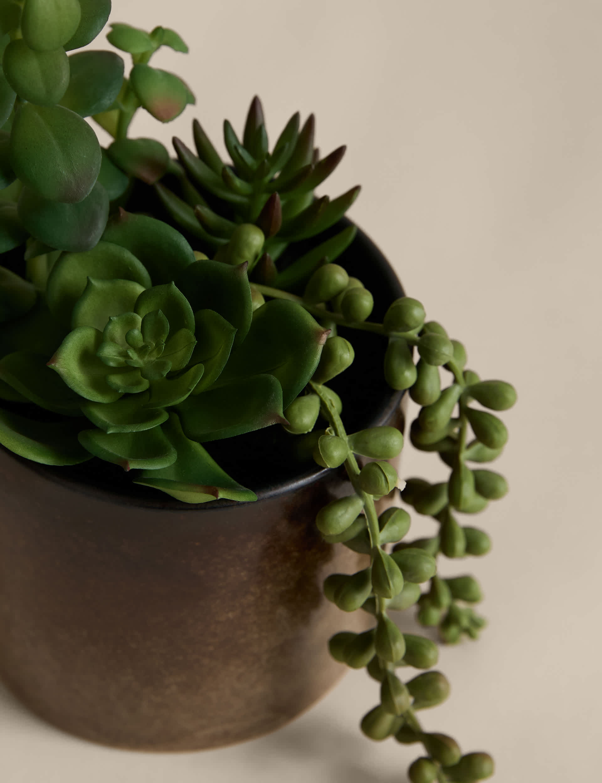 Artificial succulent collection in reactive glaze pot, British brand