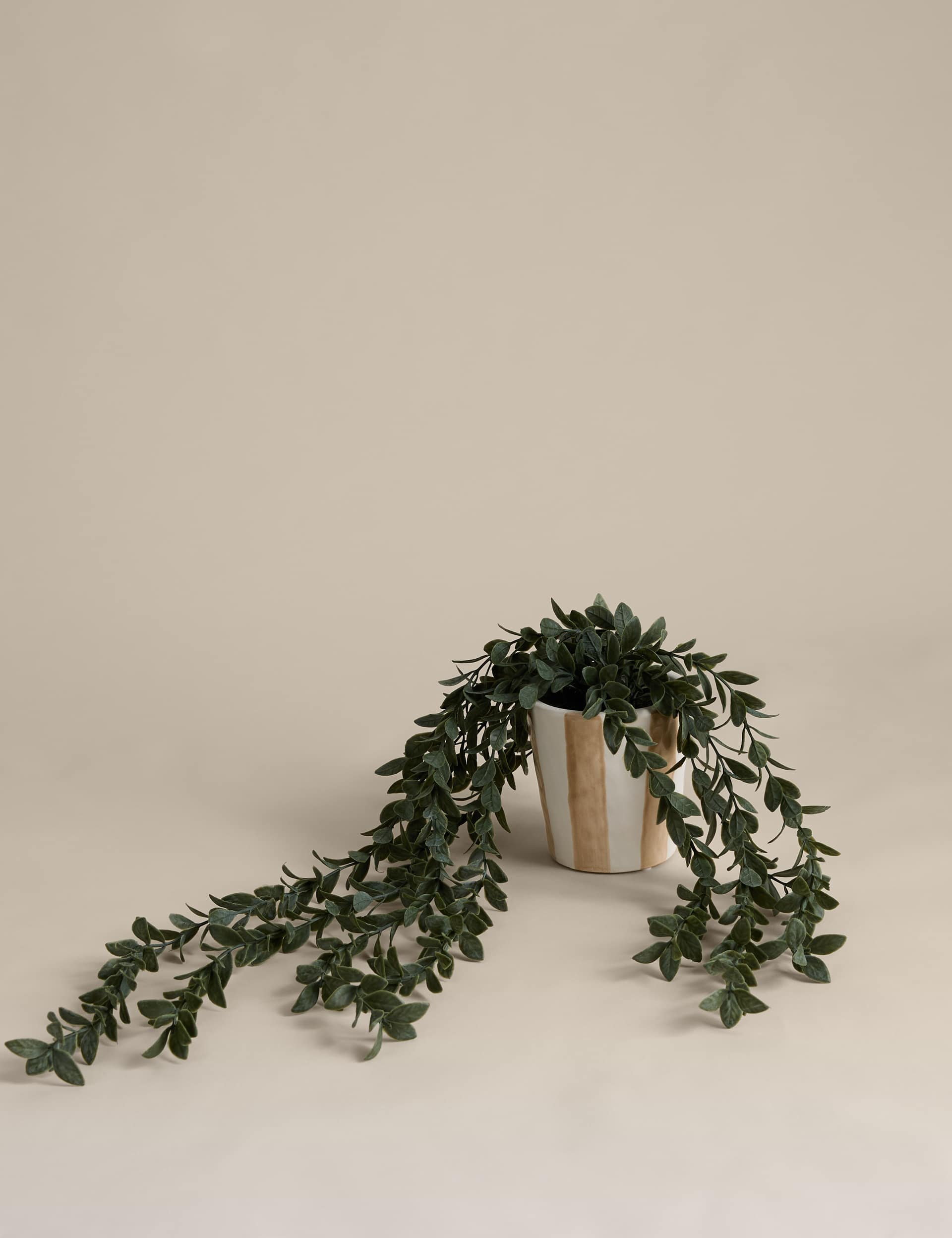 Artificial trailing boxwood in stripe ceramic pot - British product