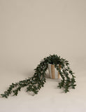Artificial trailing boxwood in stripe ceramic pot - British product