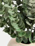 Moss & Sweetpea artificial eucalyptus in concrete pot, UK version