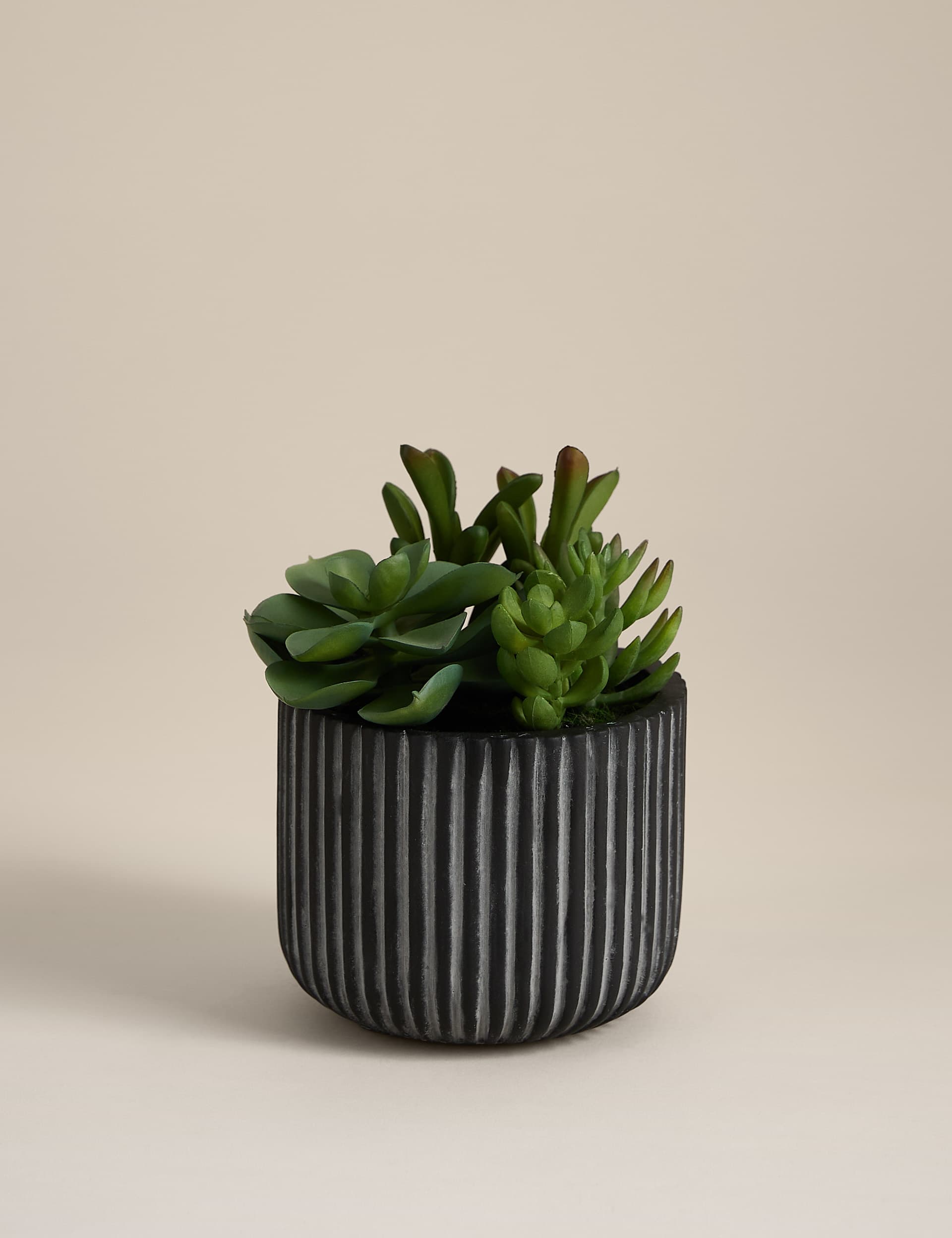 Moss & Sweetpea artificial succulents in ridged cement pot - British product