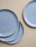 Set of 4 linen reactive picnic dinner plates (British brand)