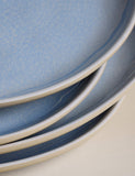 Set of 4 linen reactive picnic dinner plates (British brand)