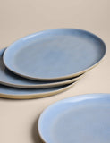 Set of 4 linen reactive picnic dinner plates (British brand)