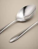 Maxim serving spoons set of 2 stainless steel, imported from the UK