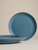 Plastic picnic dinner plates set of 4, imported from the UK