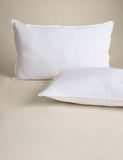 Pure cotton medium pillows (British brand)