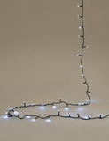 Bright white LED string lights, 300 lights, (British brand)