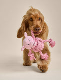 Percy Pig pet toy with rope limbs and squeaker - British product