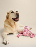 Percy Pig pet toy with rope limbs and squeaker - British product