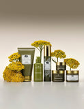 Plantscription Wrinkle Correction Serum 30ml, imported from the UK