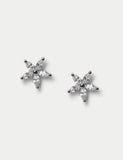 Platinum cubic zirconia flower earrings stud, imported from the UK