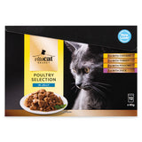 Premium Cat Food Pouch 12 Pack