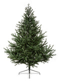 Premier Decorations Glenshee Spruce artificial Christmas tree 6ft, imported from the UK