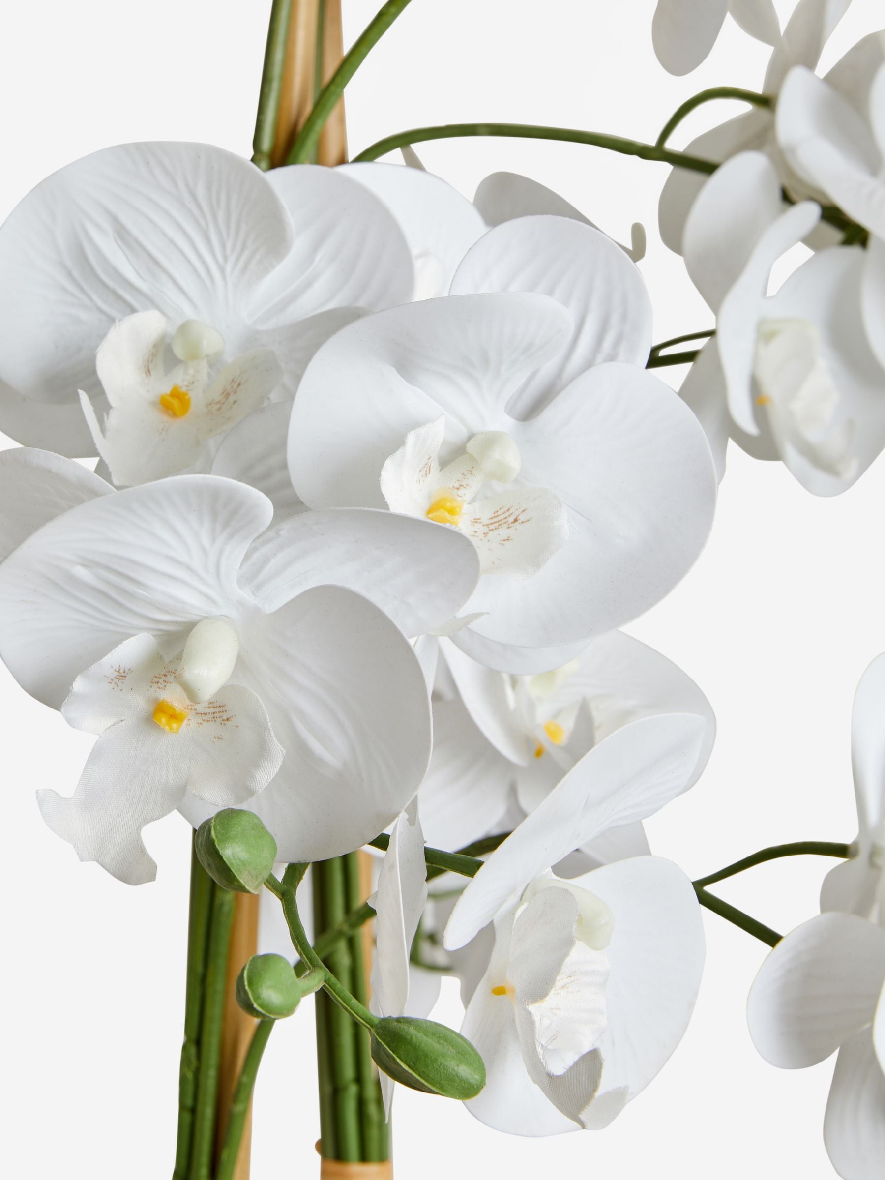 White real touch artificial extra large floor standing orchid plant (British brand)