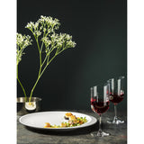Villeroy & Boch NewMoon crystal wine goblet set of four - British product