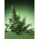 Aveda Rosemary Mint hand and body wash 250ml (British brand)