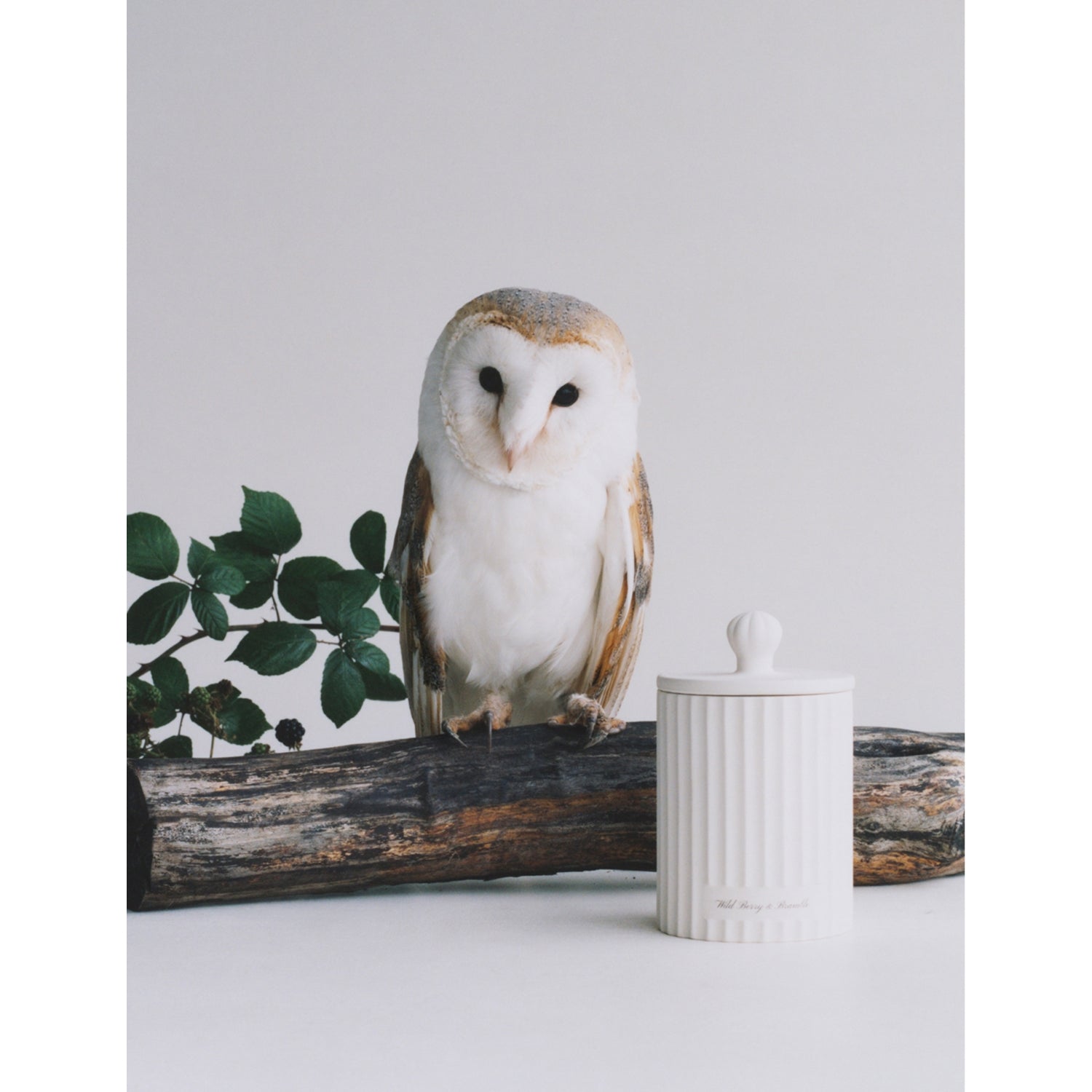 Jo Malone London Wild Berry and Bramble scented candle 300g, UK version