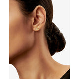Tiffany & Co olive leaf earrings in 18ct yellow gold, UK version