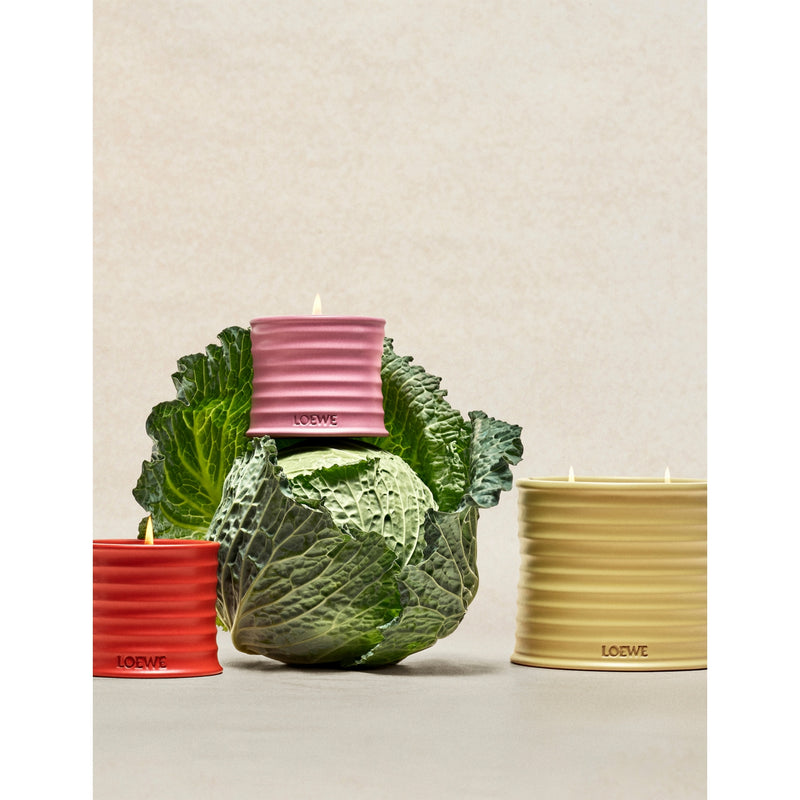 Loewe small Honeysuckle scented candle 170g, UK version