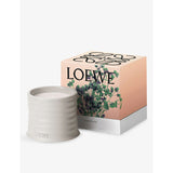 Loewe Oregano scented candle 170g in terracotta holder, imported from the UK