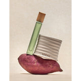 Loewe Oregano scented candle 170g in terracotta holder, imported from the UK