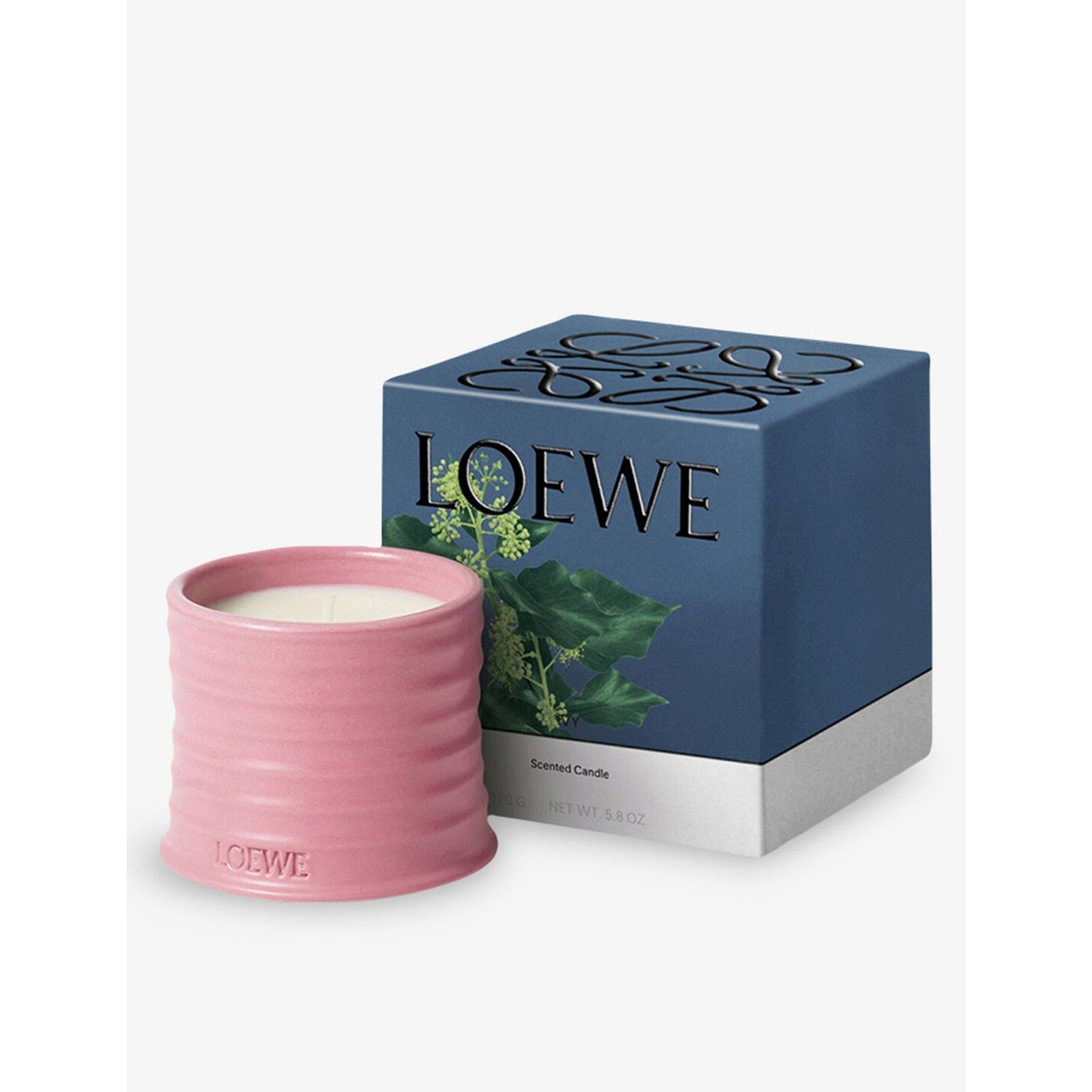 Loewe Ivy scented candle 170g in terracotta pot - British product