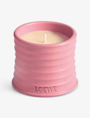 Loewe Ivy scented candle 170g in terracotta pot - British product