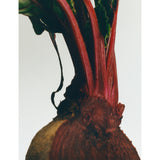 Loewe beetroot scented candle 170g - British product