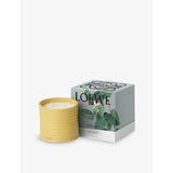Loewe Honeysuckle medium scented candle 610g, imported from the UK