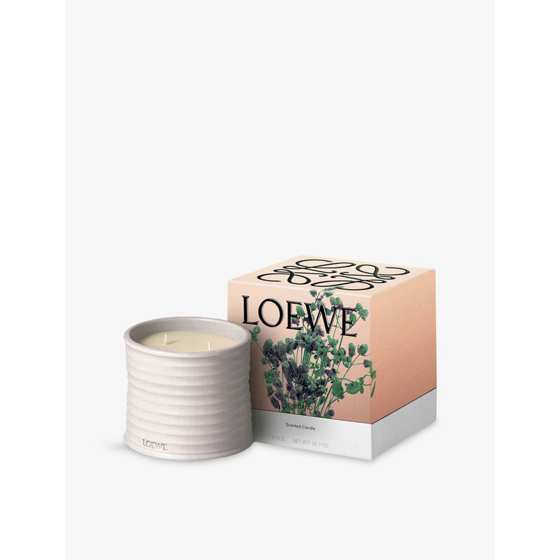 Loewe Oregano scented candle 610g, UK version