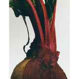 Loewe Beetroot scented candle 610g, UK version
