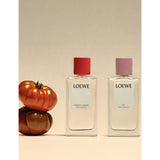 Loewe tomato leaves scented home fragrance 150ml - British product