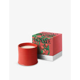 Loewe tomato leaves scented candle 2120g - British product