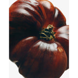 Loewe tomato leaves scented candle 2120g - British product